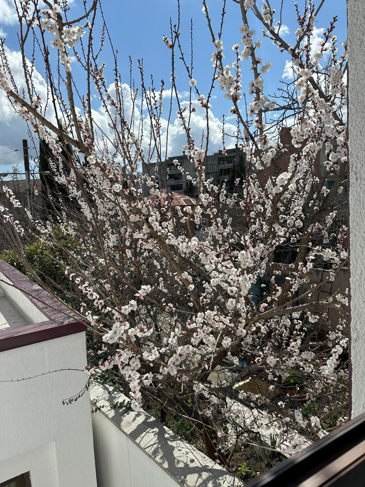Three Palms Guest House 第比利斯 外观 照片