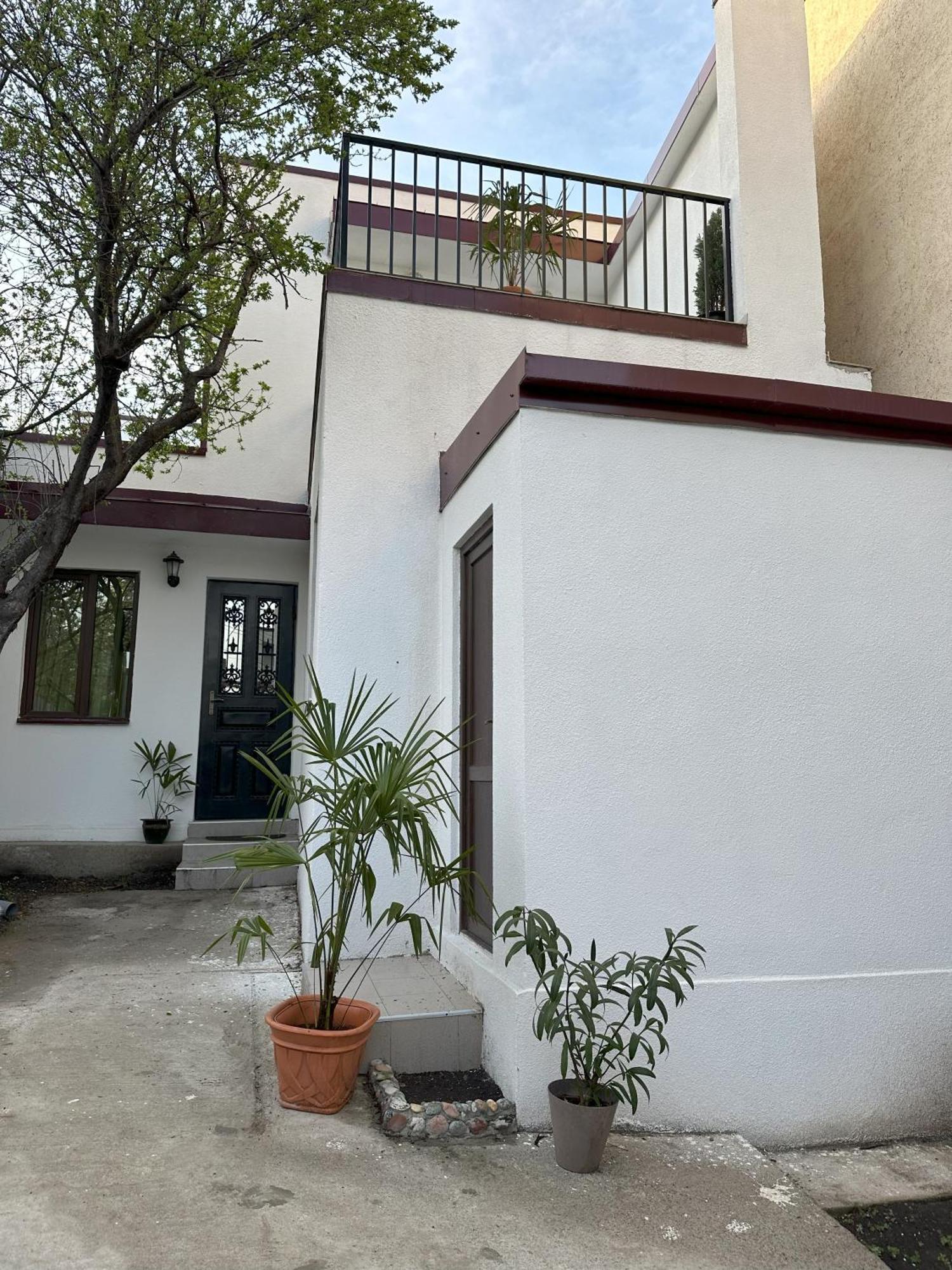 Three Palms Guest House 第比利斯 外观 照片