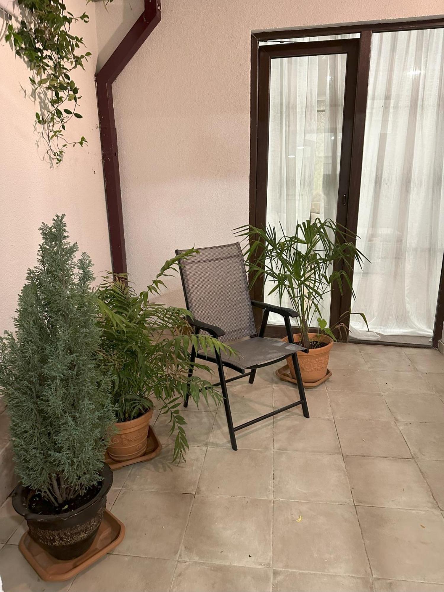 Three Palms Guest House 第比利斯 外观 照片